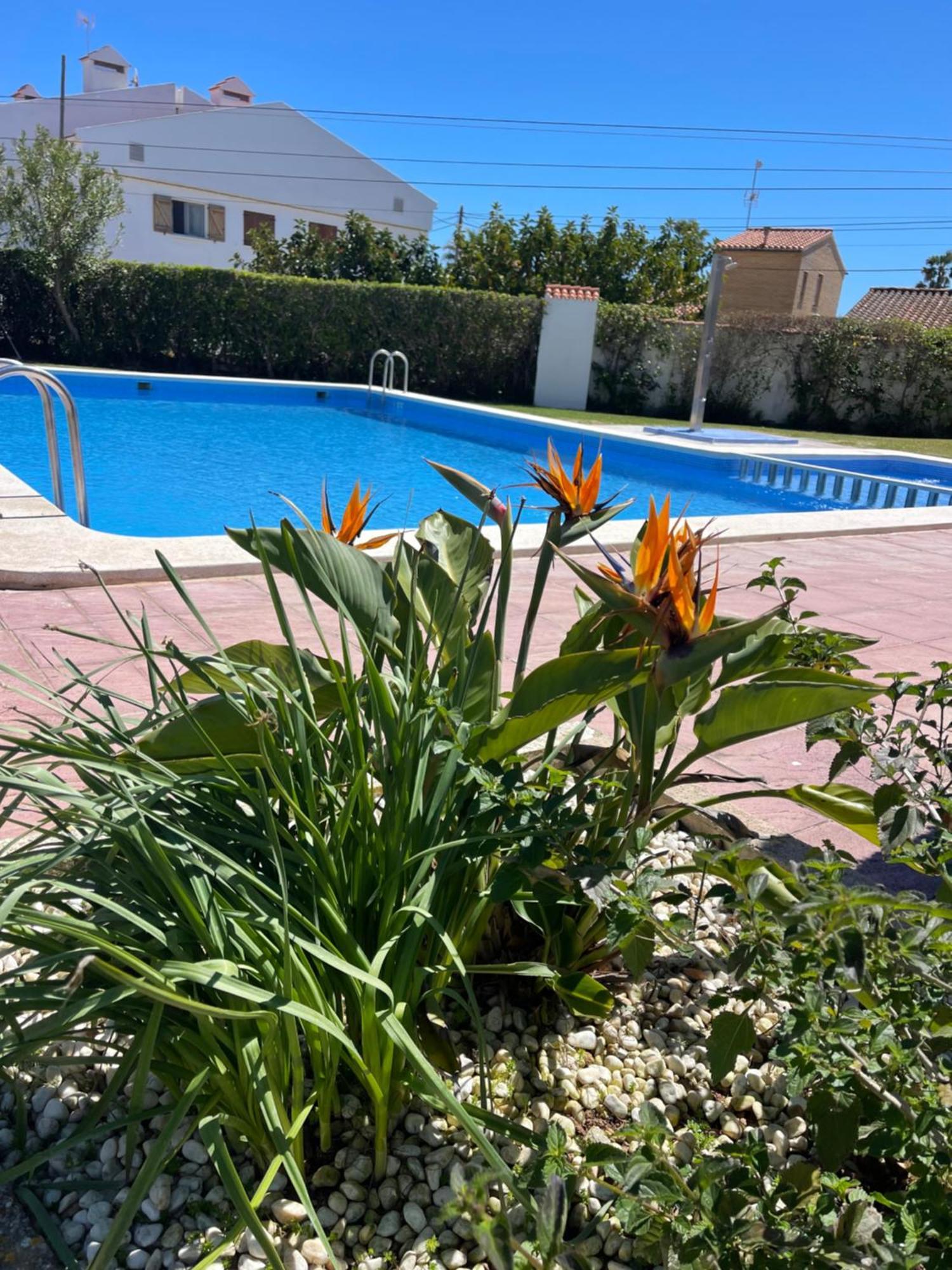 Cala Puntal Apartament Vinaròs