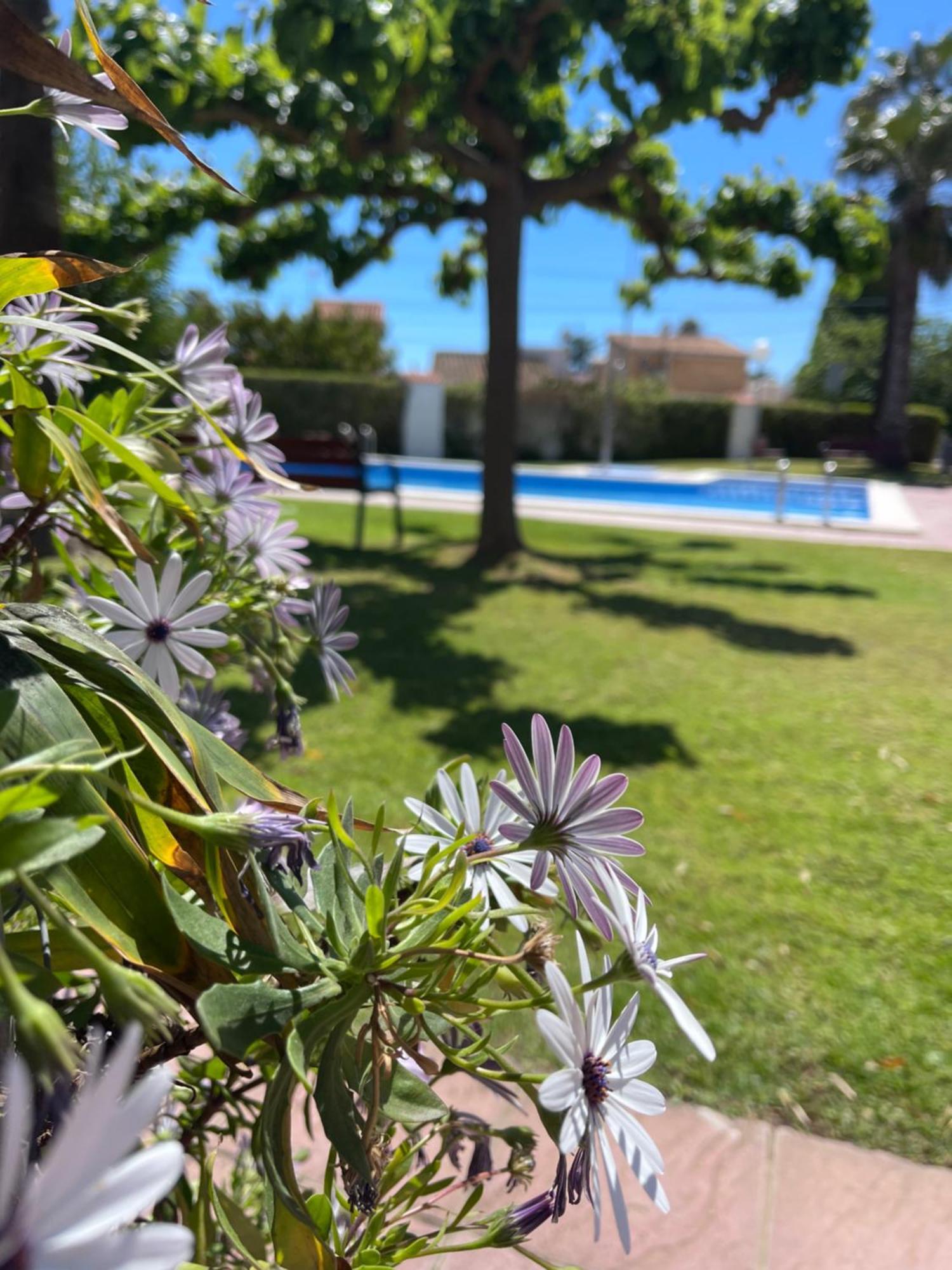 Cala Puntal Apartament