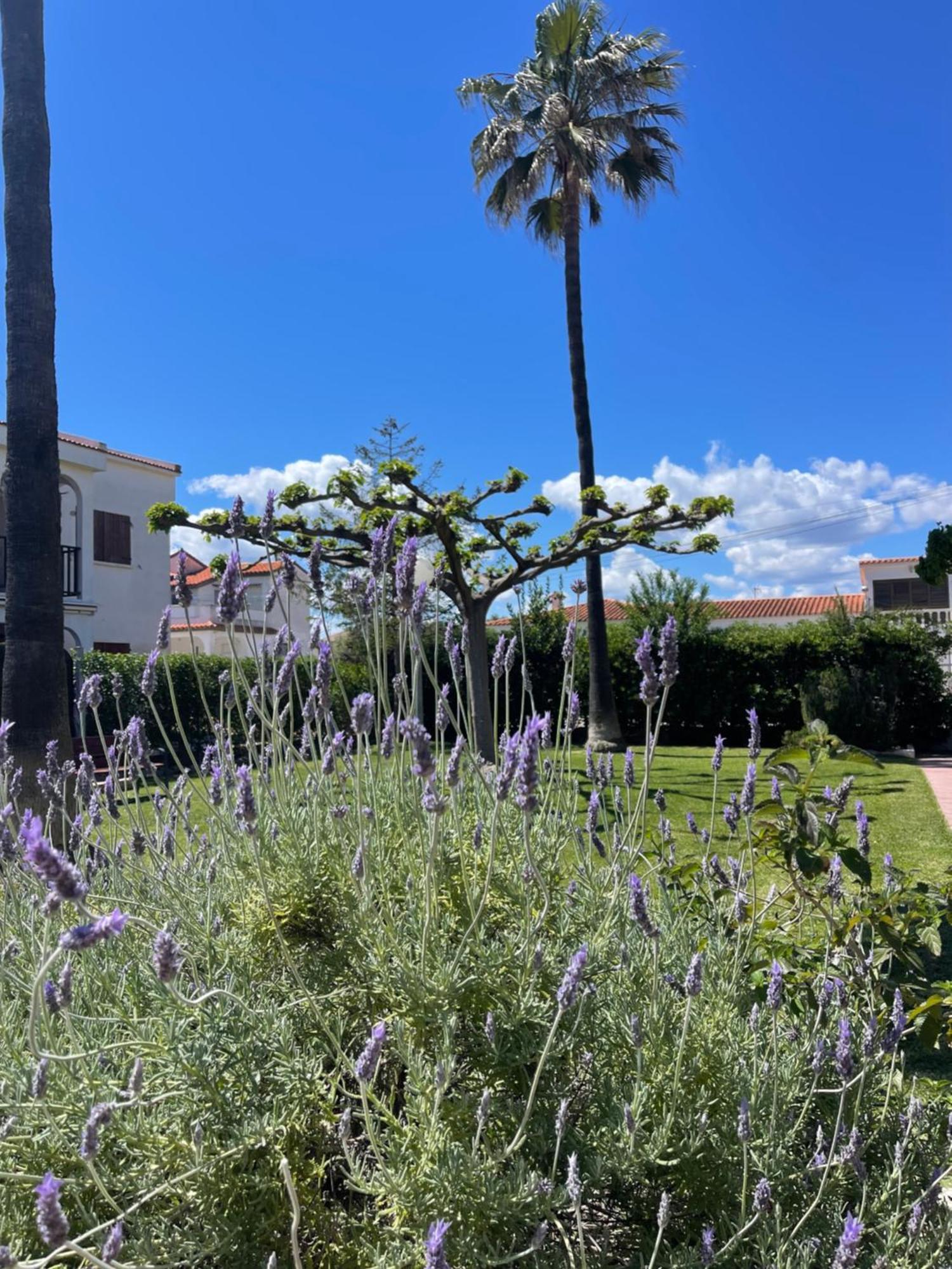 Cala Puntal Apartament Vinaròs